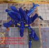 thm_sheyf-21gerwalkunderside.jpg