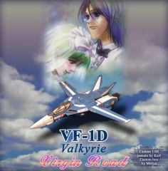 VF-1D Virgin front web.jpg