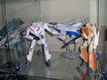 HPIM0496.JPG