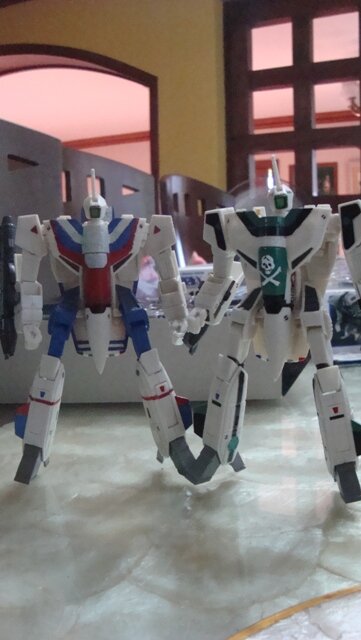 Customized VF-1A Kakizaki and Angel bird