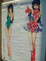 Minmay door posters