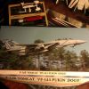 my f-14 model