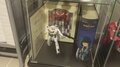 SDF and Robotech Shelf