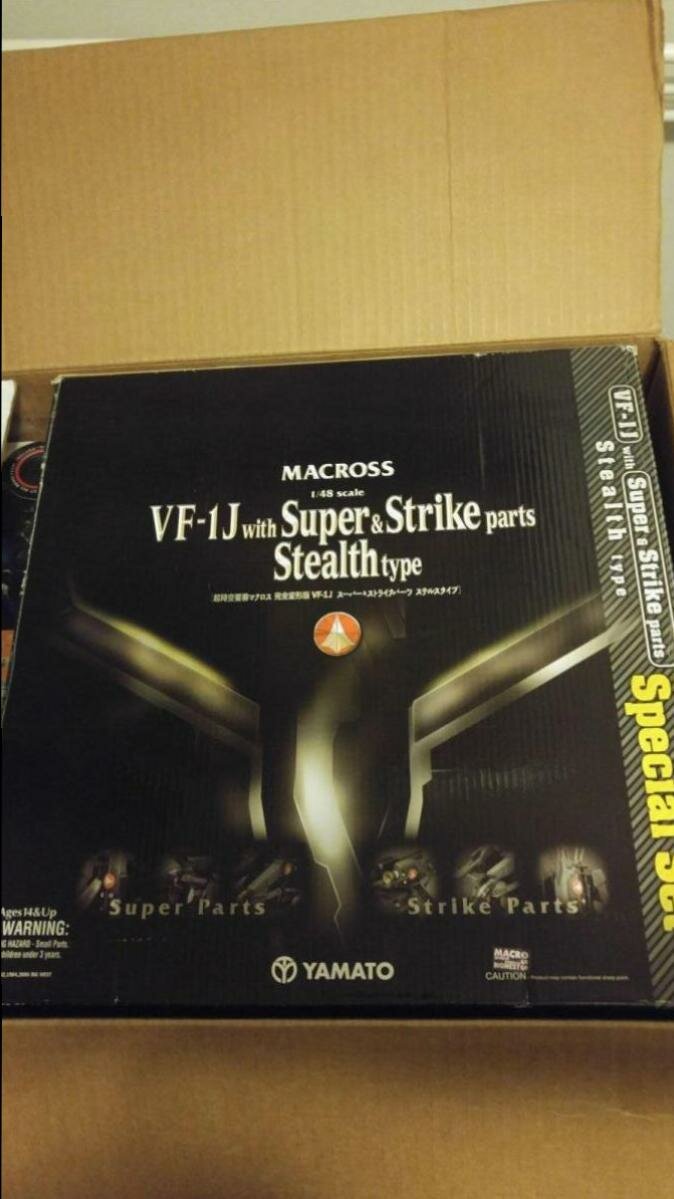 Vf 1J Stealth FS