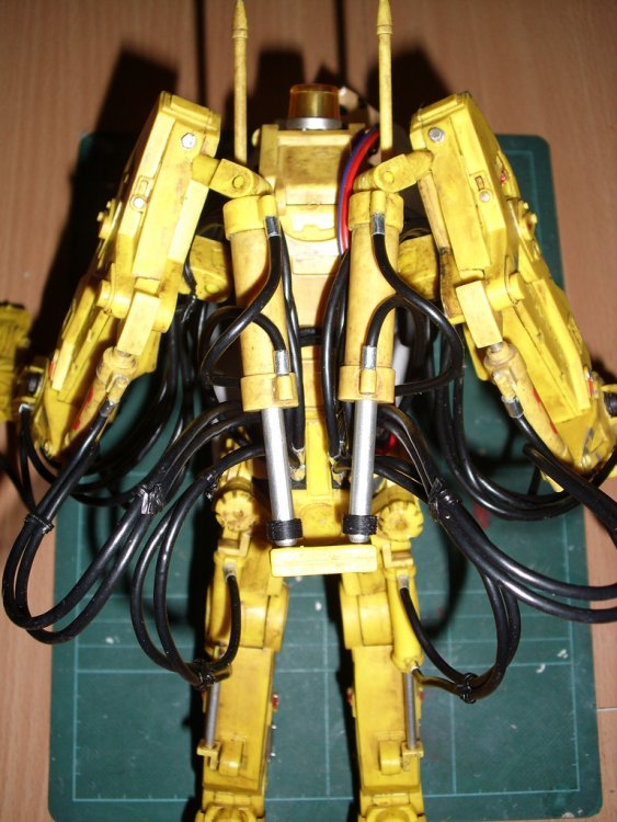 DSCI0114_zpsozgsgrq1.thumb.jpg.84e262fe7faa19d0279b8feb213b842e.jpg
