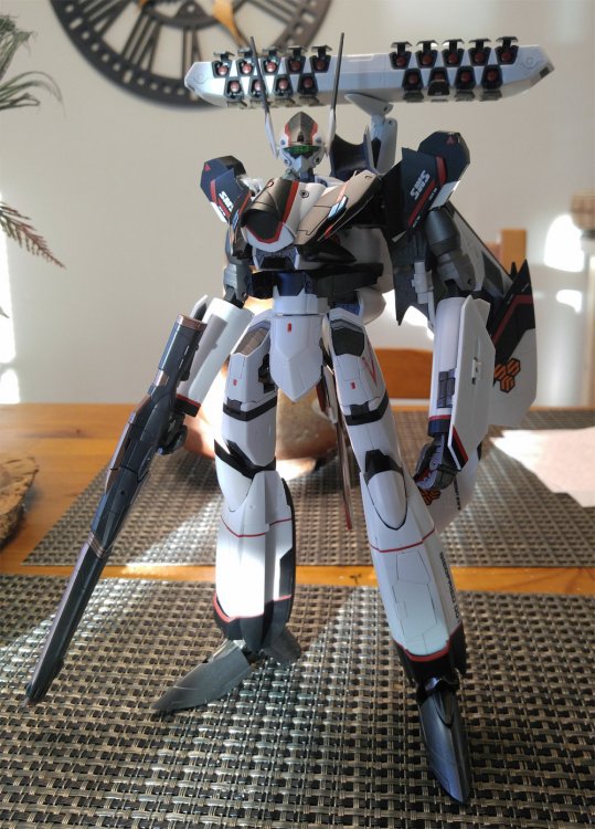 DX-YF-30_01.jpg