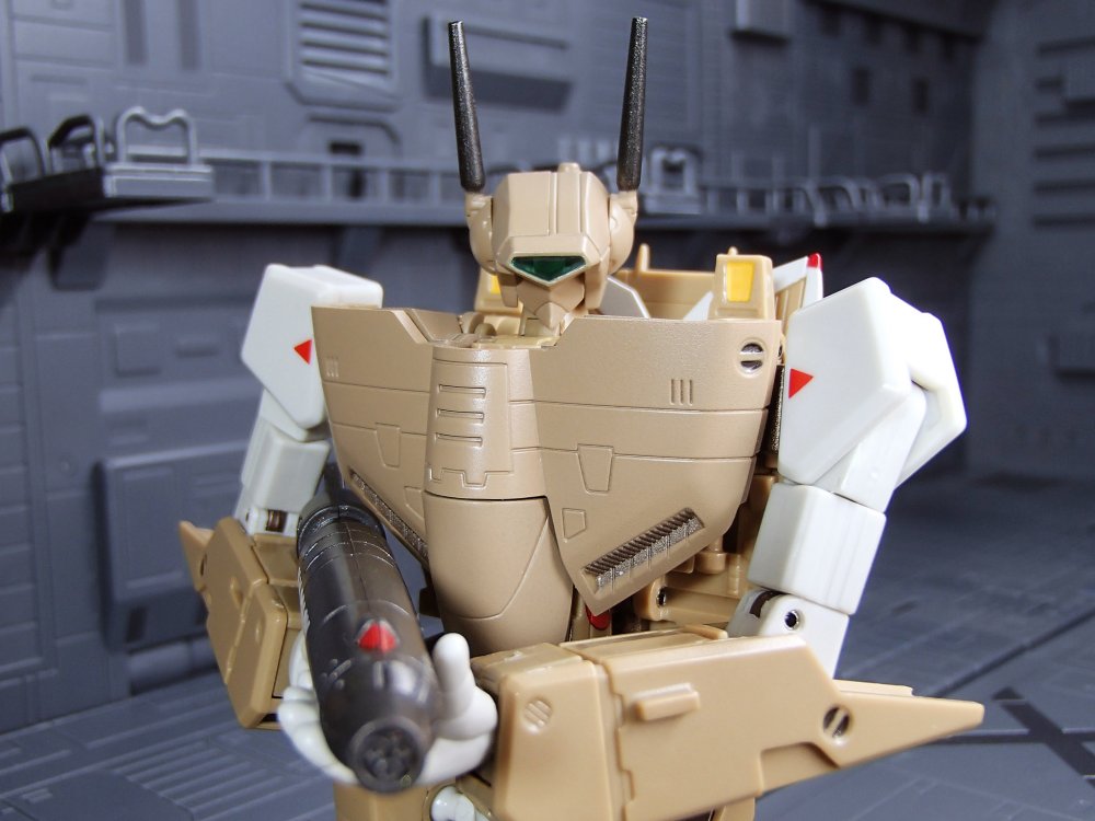 VF-1J_CF.thumb.jpg.f2b605e00469efec0c51dae37fd545bb.jpg