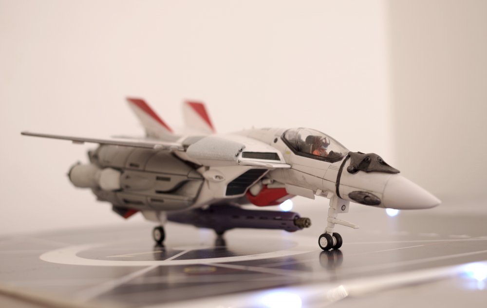 fighter01.jpg