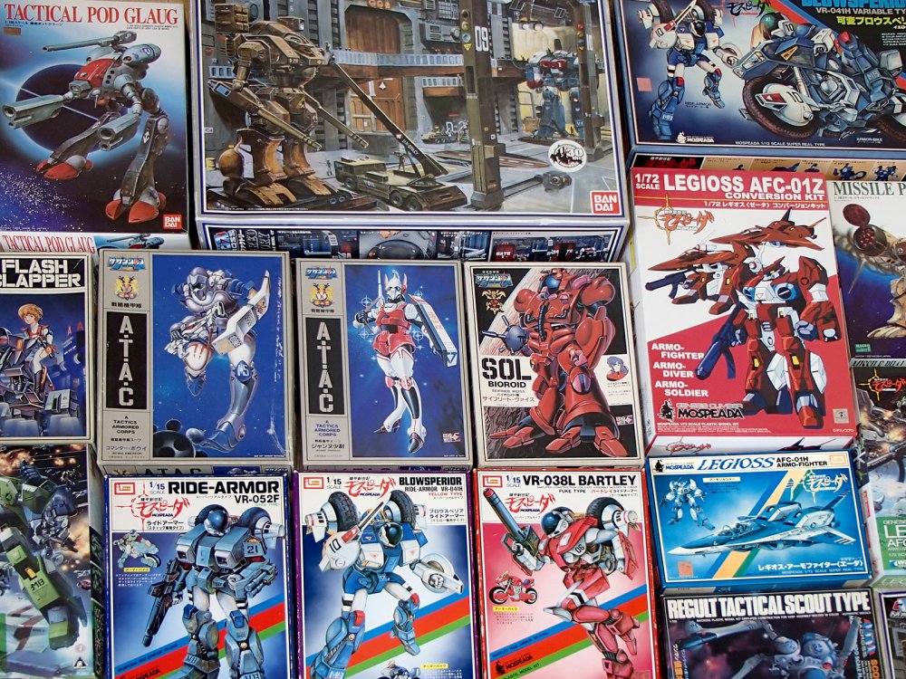 robotech_models.thumb.jpg.f1565348dc4b841d14c4d672d2f1e747.jpg