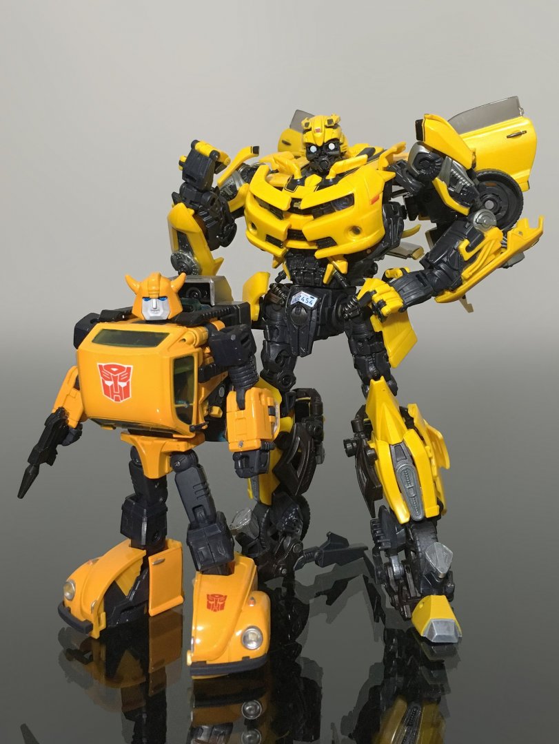 839901296_MasterpieceBumblebees.thumb.jpg.d49077f920f514189d9d6a32471ed786.jpg