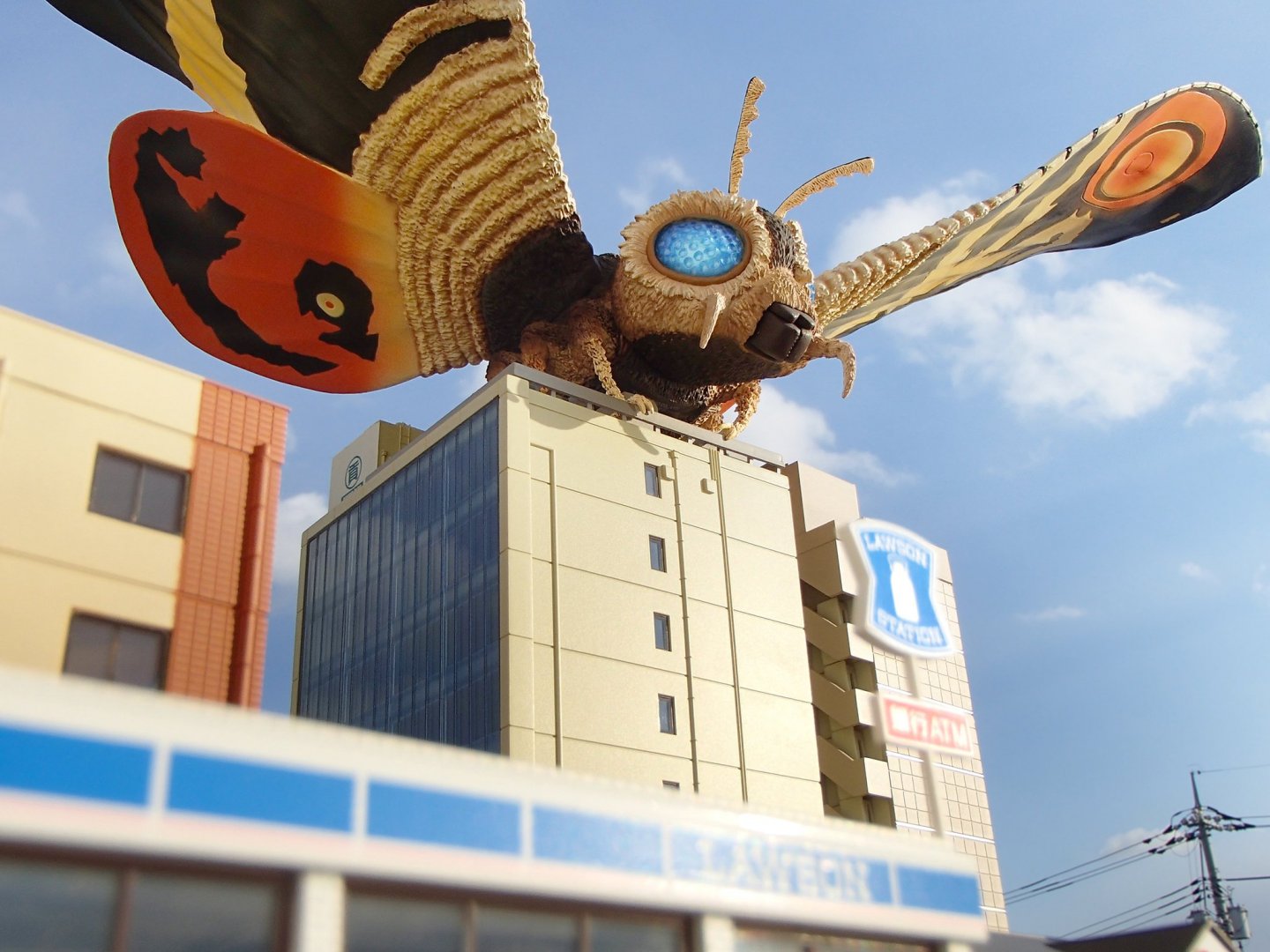 mothra.thumb.jpg.4631810fac263276990c6346d6a6fd3a.jpg