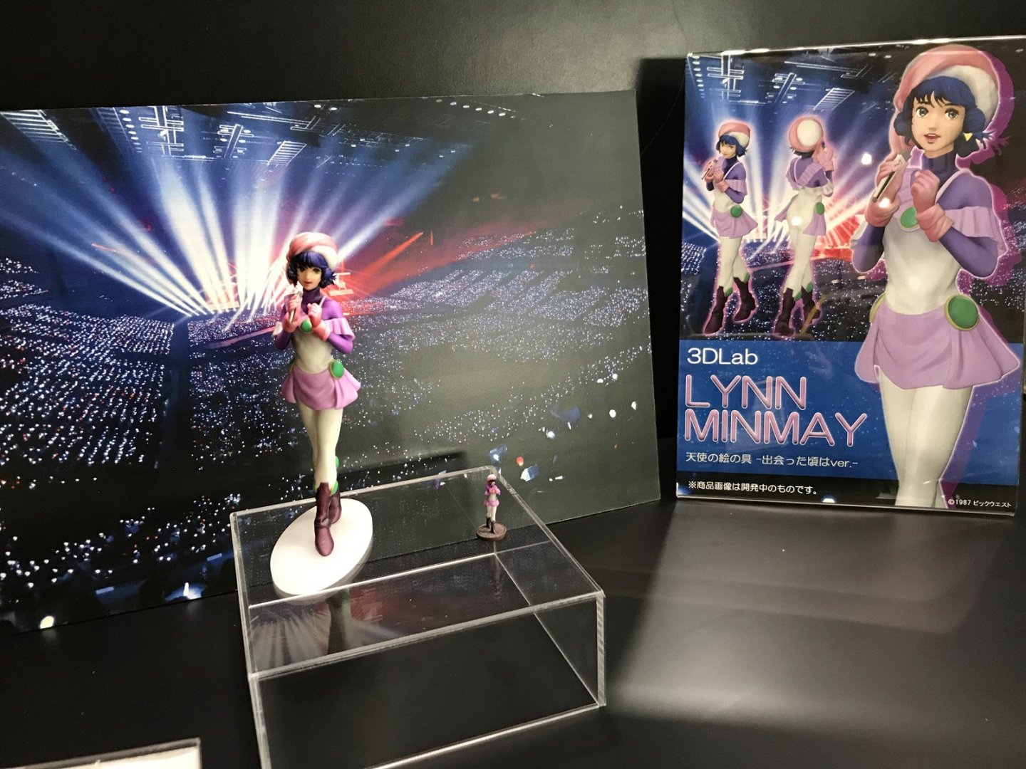 arcadia-minmay-angels-paint-figure.thumb.jpg.4bc23a2910528622af33f0c49398ce71.jpg