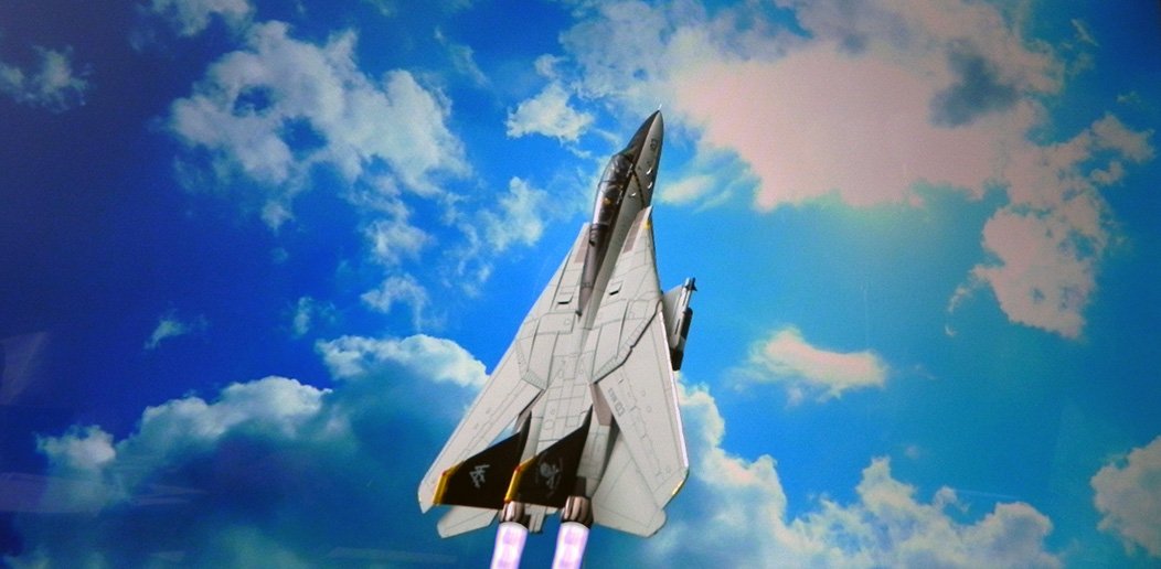 F-14_CalibreWings.jpg.e0e8d5d9a193de15e1b3dd0d6b960788.jpg