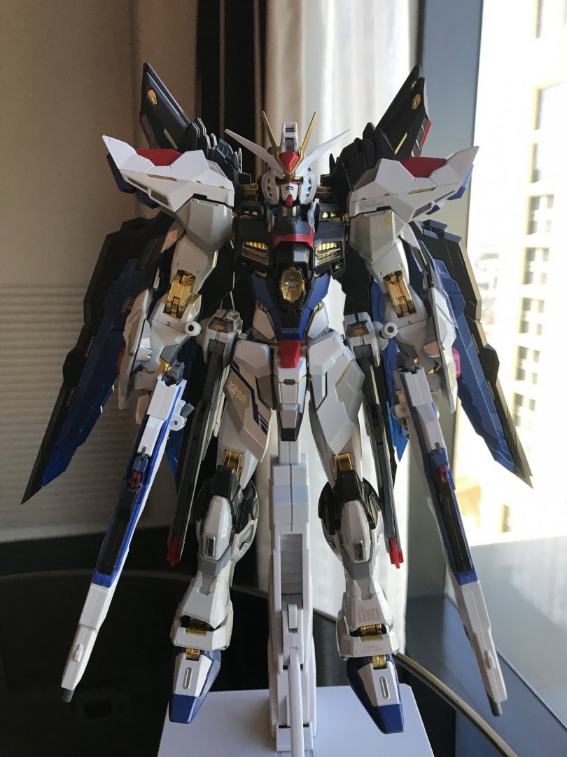 Strike Freedom resize.jpg