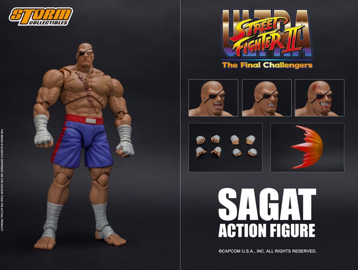 storm_sagat.jpg.dd07c0d02d632e3ff38e8d3a9ba0c720.jpg