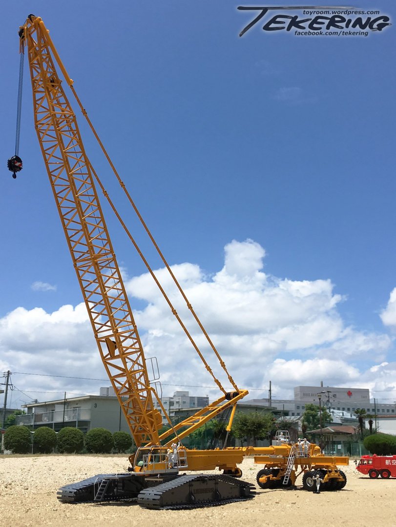 669428032_freestandingcrane.thumb.jpg.584eaa31fc7d989816abed4eb4306d80.jpg