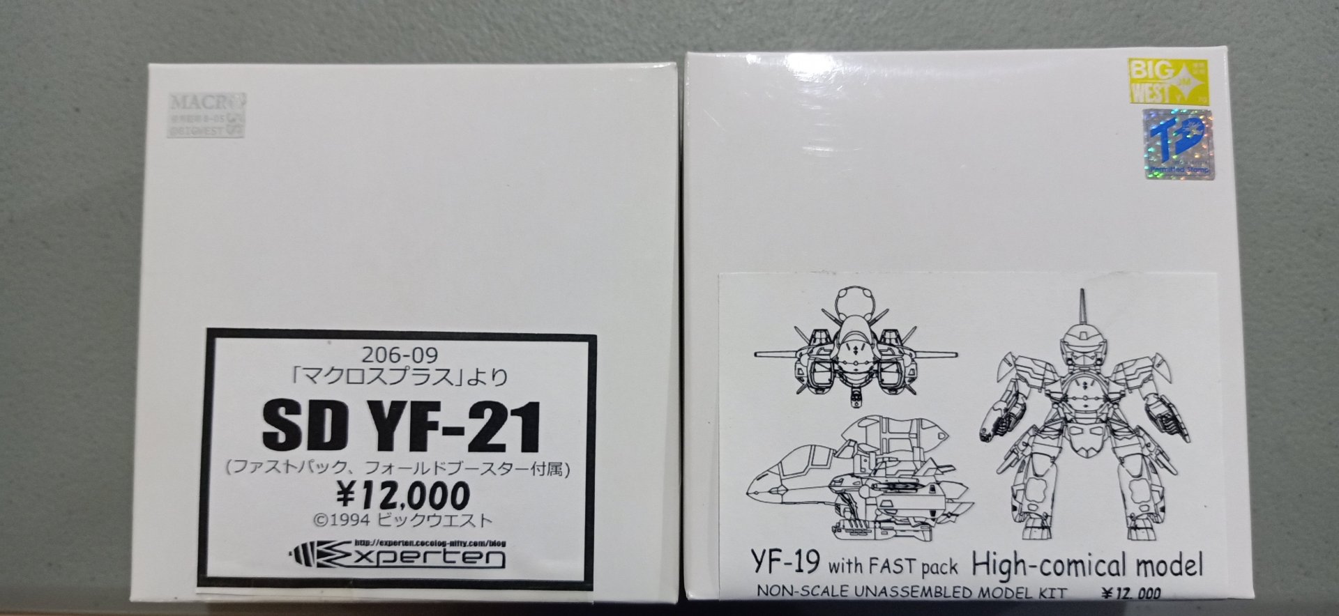 Experten 1-100 YF-21 & YF-19 Super Deformed Variable Valkyrie (1).jpg