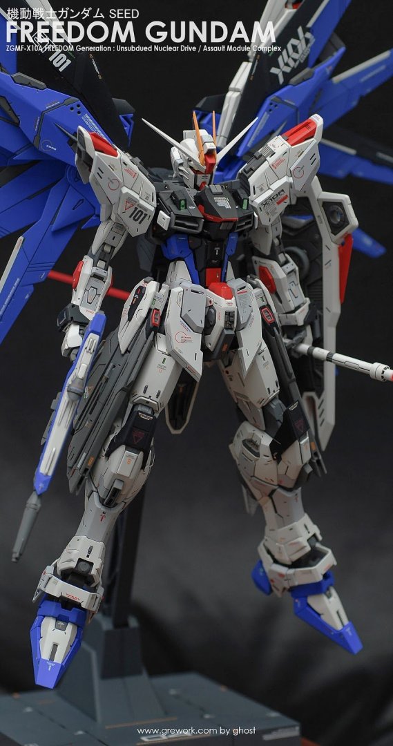 MG-FREEDOM-GUNDAM-VER-2-BY-GHOST (1).jpg