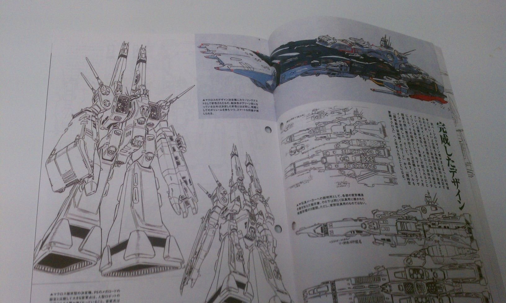 large.473447877_Documentofmacross005-des