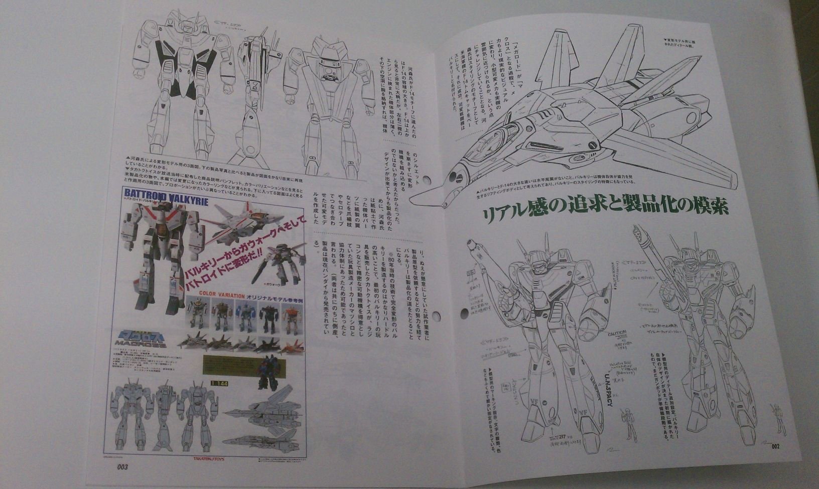 large.782067101_Documentofmacross006-des