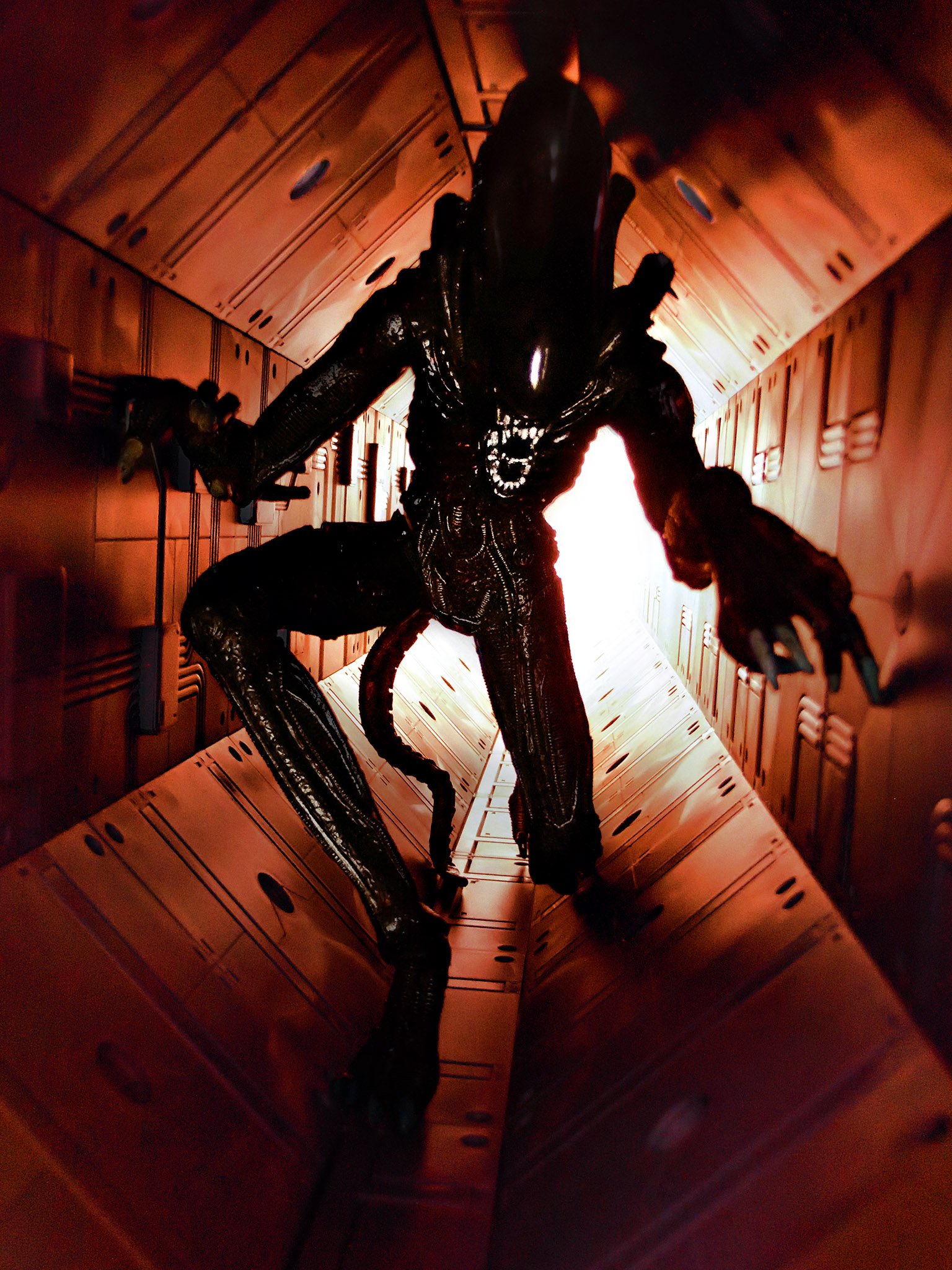 xenomorph.jpg.f1444511853f5575f59757c995b9b672.jpg