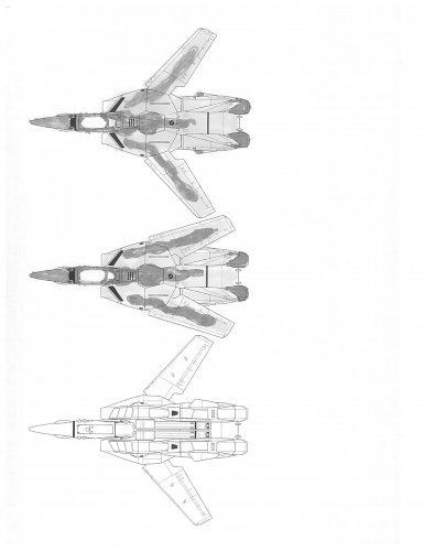 VALKYRIE PAINT SCHEME02.jpg