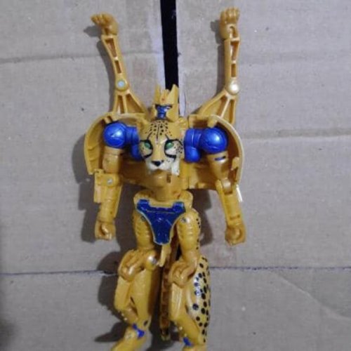 1466670639_TransformersGenerationsBeastWarsColorCheetorSilverIronhide(1)__scaled_600.thumb.jpg.fc4dca6116536ddba56559223ab12aa0.jpg