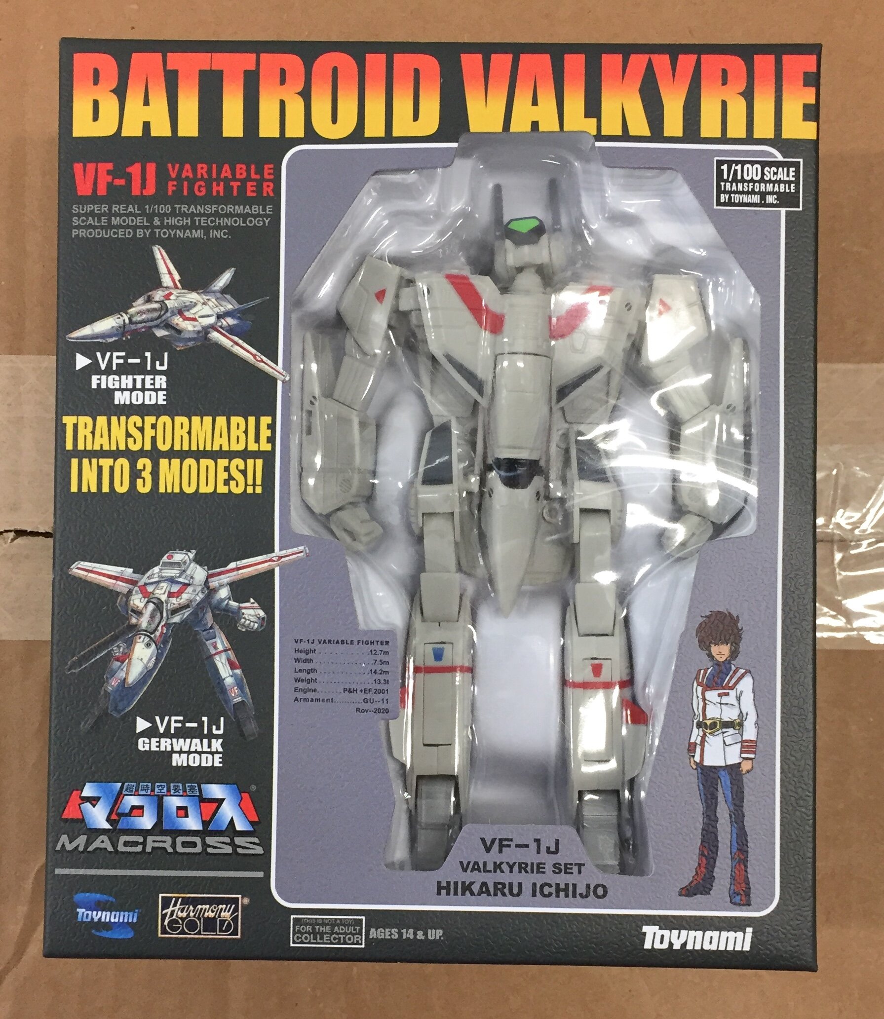 toynamimacrossretro1100vf1jhikaru.JPG.a90845b0dc36836e69a3ee225a51d5da.JPG