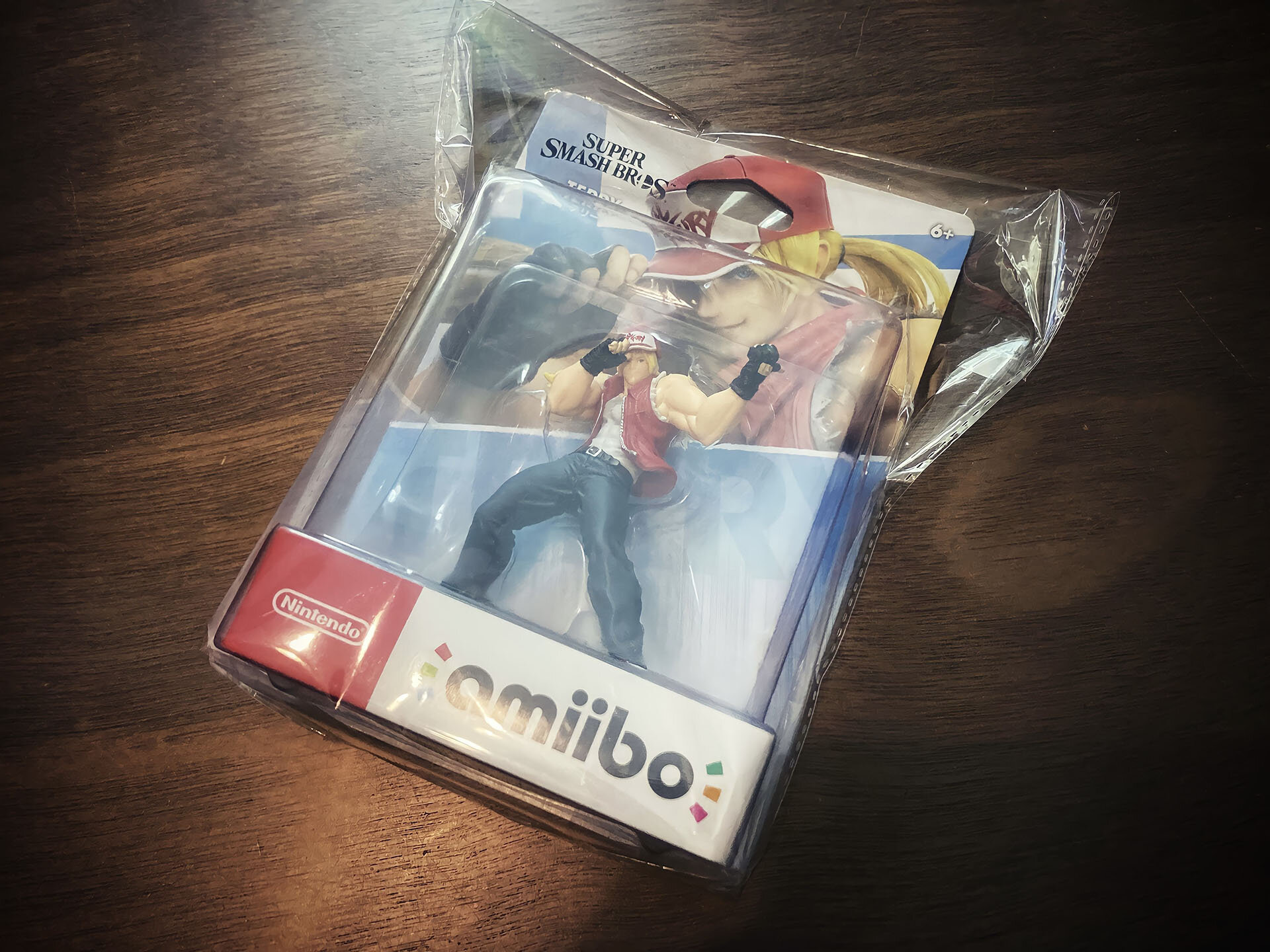 AmiiboTerryNRMntc.jpg.3c6650c7a04876b3032f7b63dcccc1ce.jpg