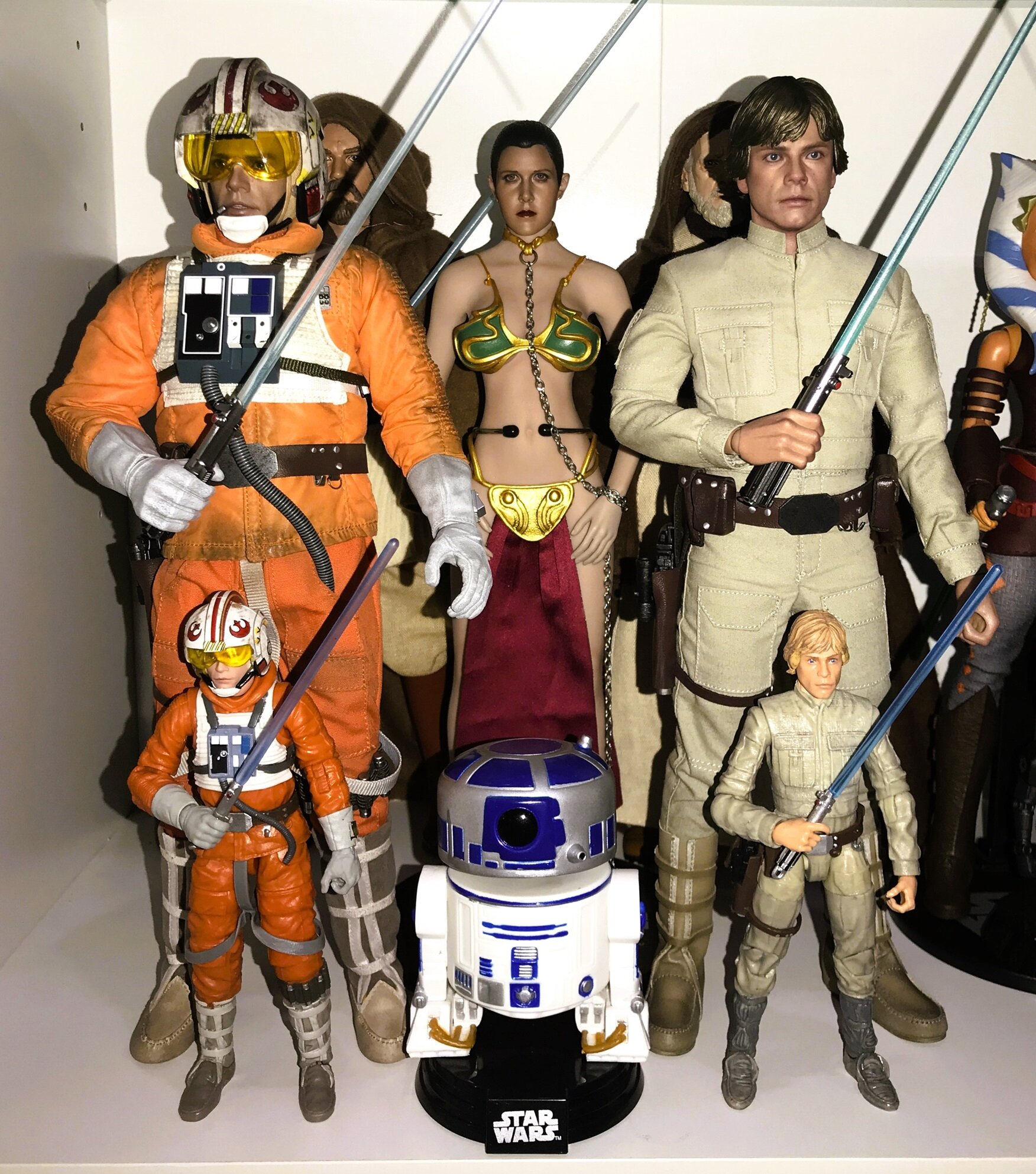 LukeLeia1bsm.jpg.1657650e937edc27032d918608049b98.jpg