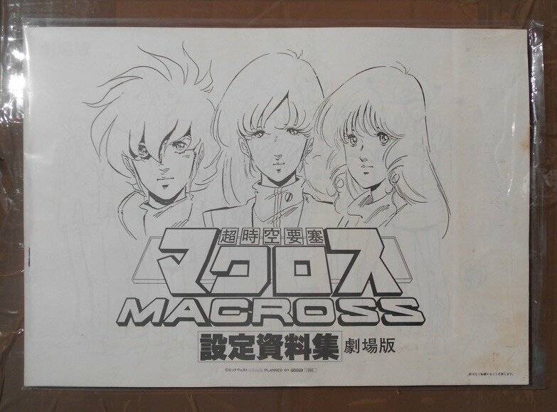 My Macross collection. What I have