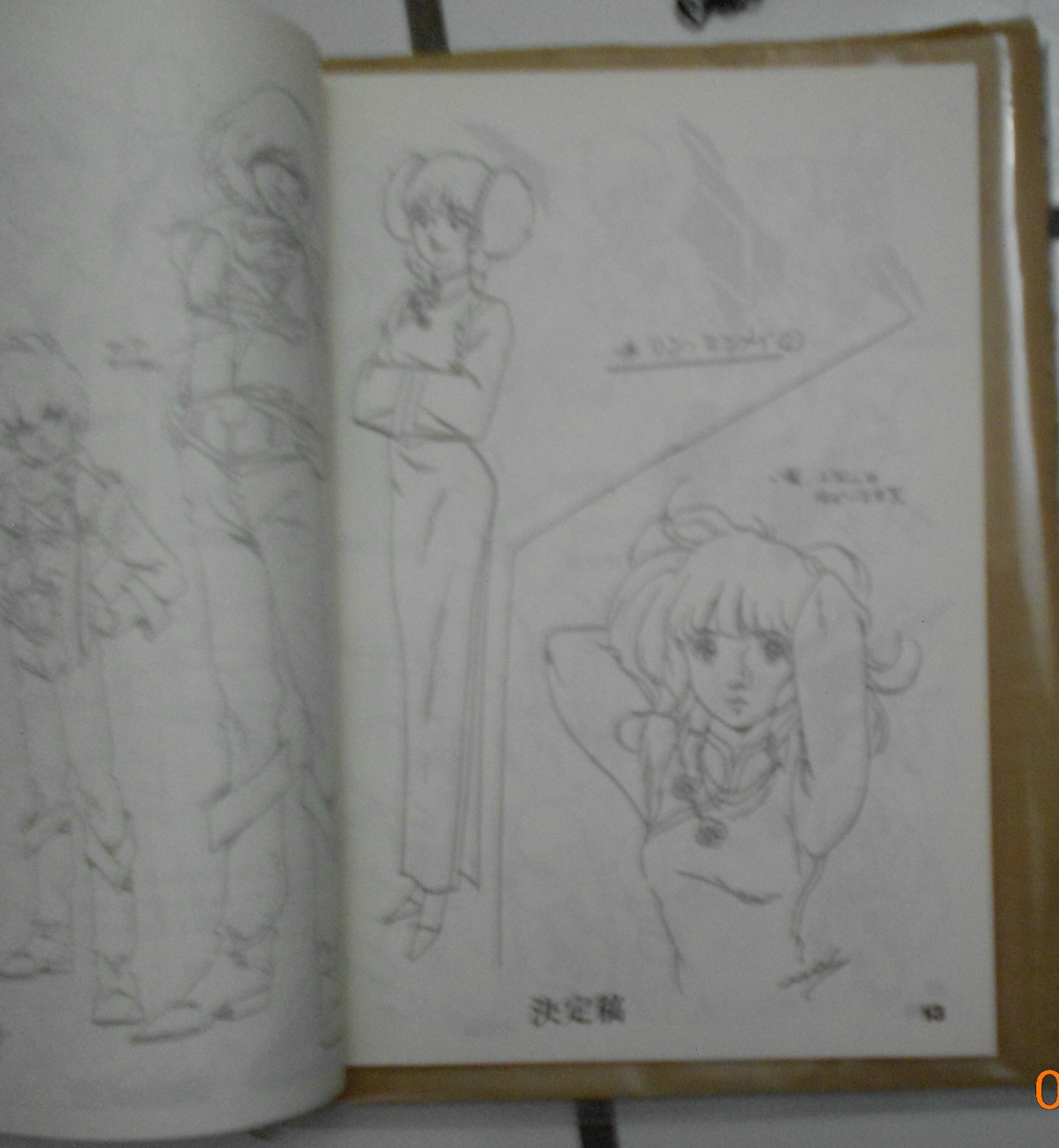 Animex  vol22