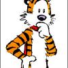 hobbes221